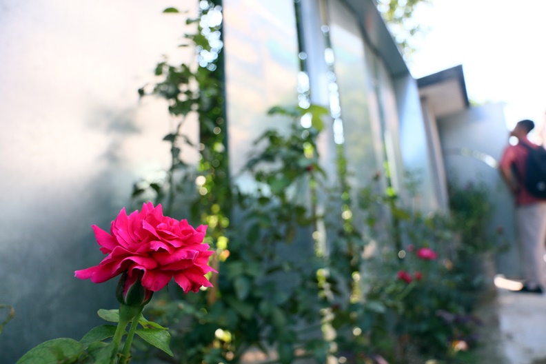 設計給自己住的老屋,來場城市生活實驗吧!_img_1