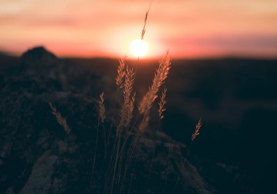不被社會諒解的戀情…胡適是如何為徐志摩平反？