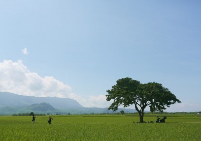 環保意識抬頭,花蓮著力深、雲林待改善