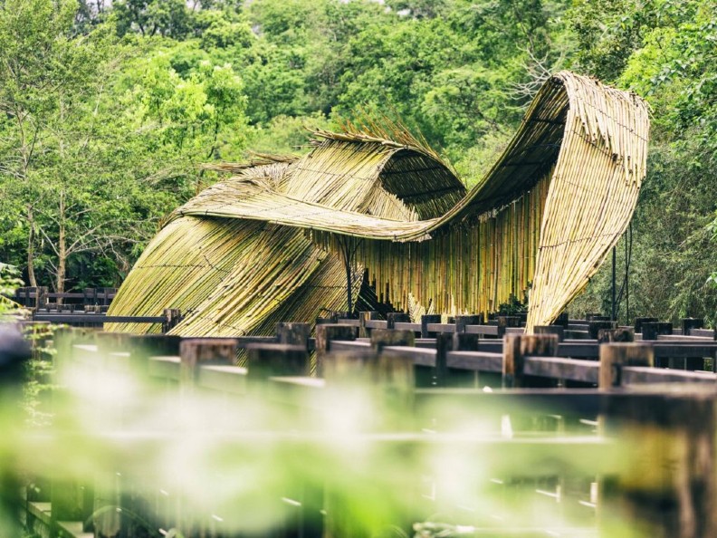 台東最夯的展你去了嗎？因為太受歡迎決定不下架_img_2
