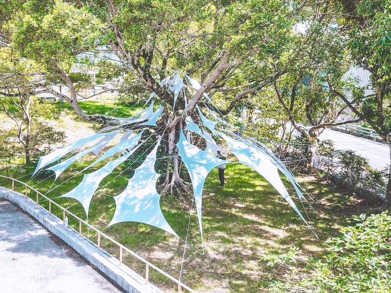 台東最夯的展你去了嗎？因為太受歡迎決定不下架_img_6