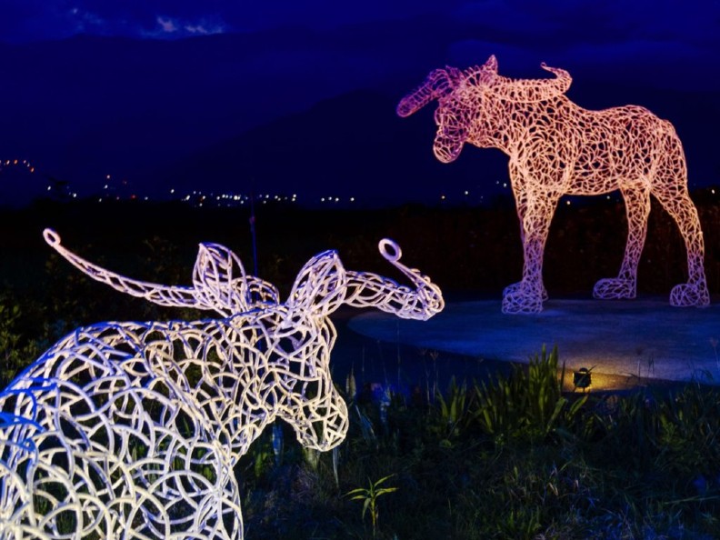 台東最夯的展你去了嗎？因為太受歡迎決定不下架_img_3