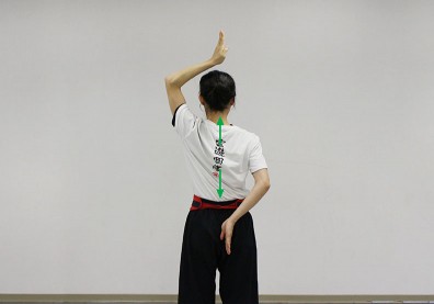 坐著時常弓著身體？練習脊椎「撐拔」讓背部覺醒