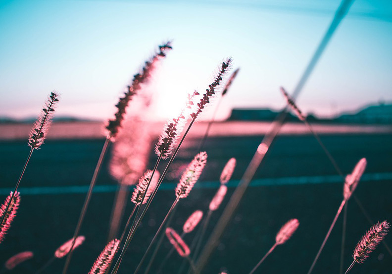 僅為情境配圖。圖片來源：pixabay
