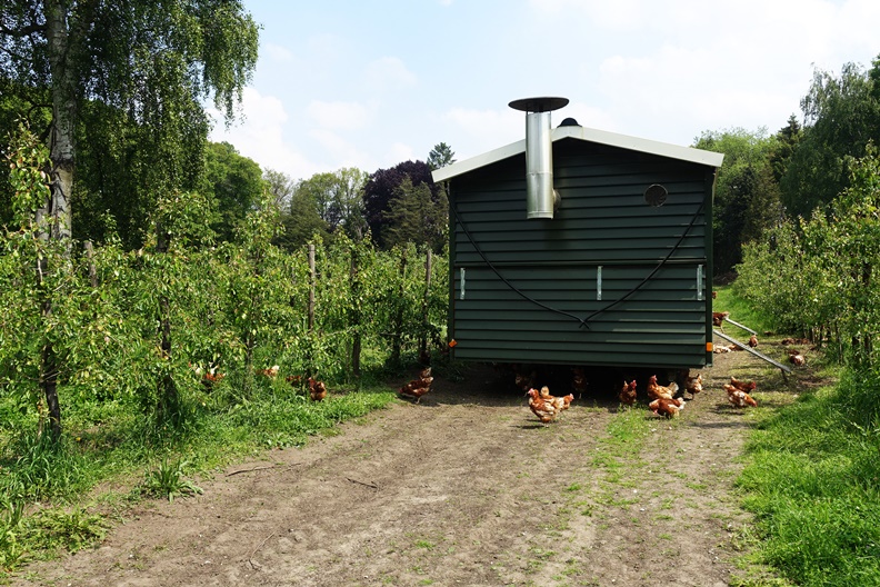 休閒和事業的完美結合 荷蘭「紳士農場」厲害在哪?_img_5