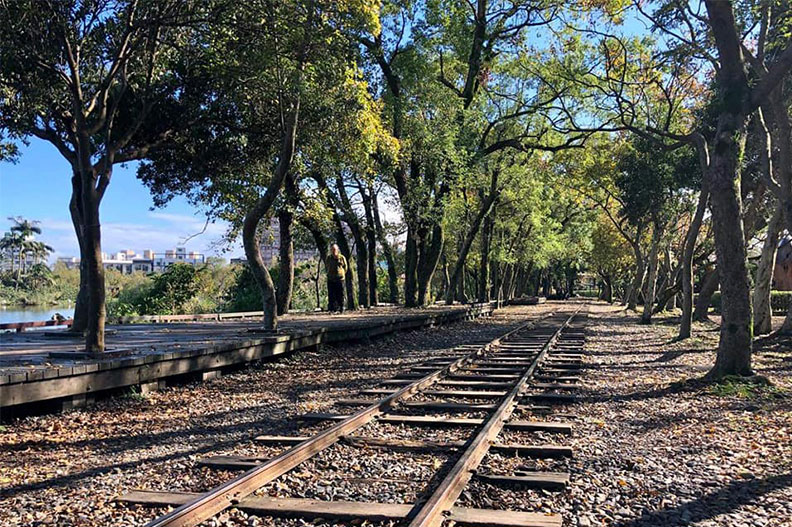 台灣檜木哪裡好？為何首里城、明治神宮都愛用_img_2