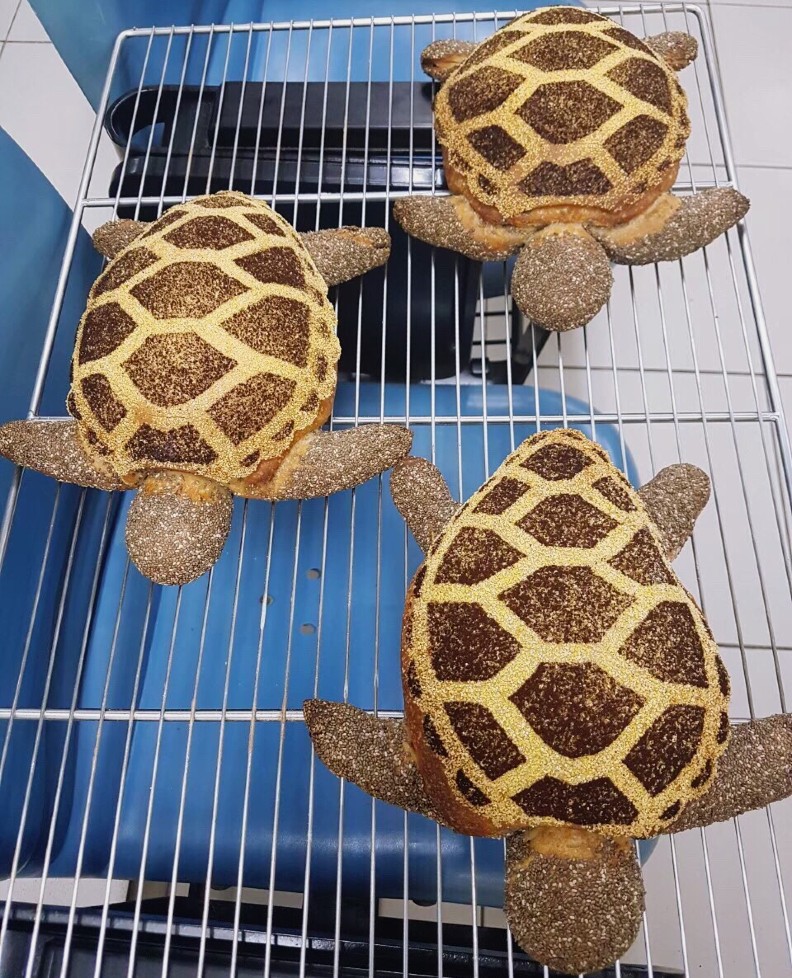 台灣技職響徹俄羅斯！21歲謝協益勇奪首面麵包製作金牌_img_3