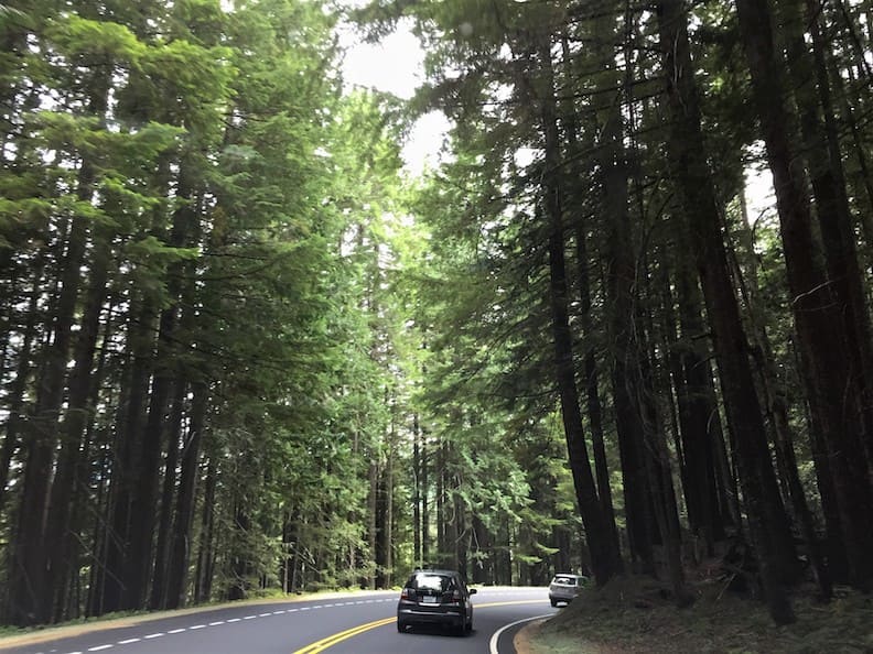 比台灣玉山還高!世界最危險美麗的活火山:雷尼爾山_img_17