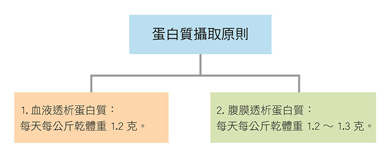 吃很多,營養還是不夠?腎臟透析者的蛋白質攝取指南_img_2