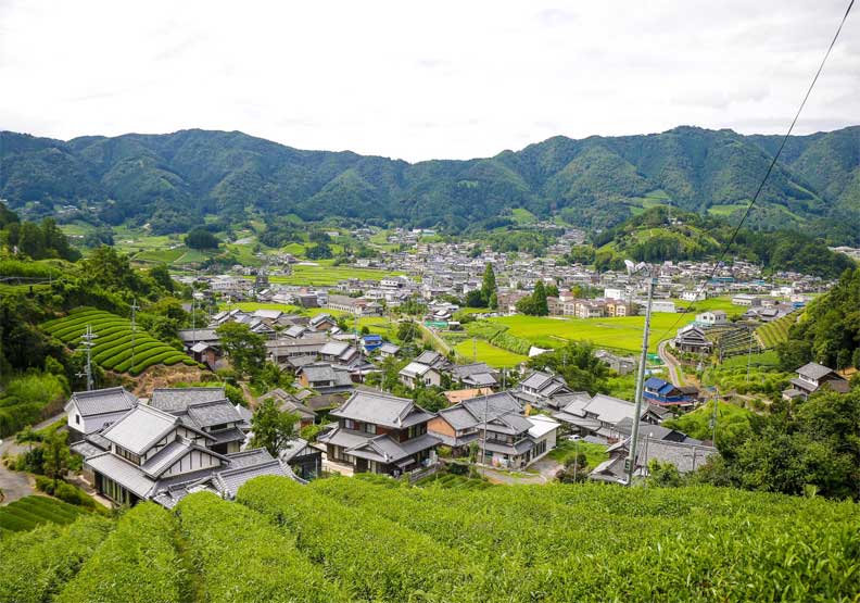 和束町從沒沒無名到獲選日本最美村莊，一步步曝光知名度。（攝影／洪敬哲）