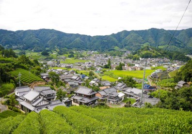 以茶創生   吸引人口移住