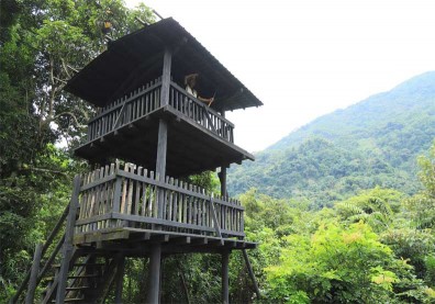 用文化和傳統   讓部落活力運轉