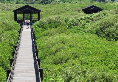 鐵馬騎乘 微旅行