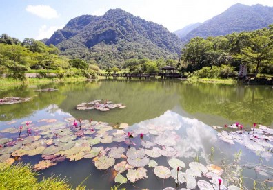加入里山倡議   有機村再啟動