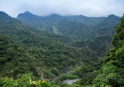 以里山與林下經濟 打造品牌