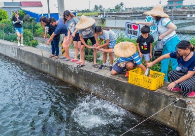 魚鱗轉成金 青年接手留鄉創業