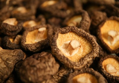 菇類清洗後口感會變差？備料烹調五星級飯店主廚一次解答