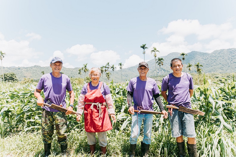 北漂返鄉 用有機轉作開啟部落經濟_img_4