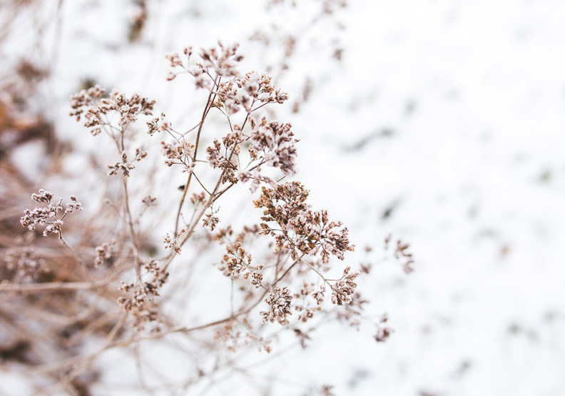僅為情境配圖。圖片來源：pixabay