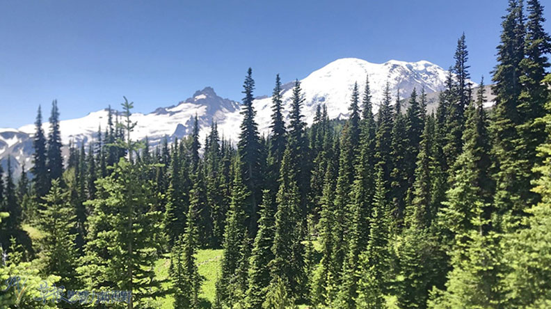 真正的快樂來自爬山的過程!驚喜連連的雷尼爾山國家公園_img_1