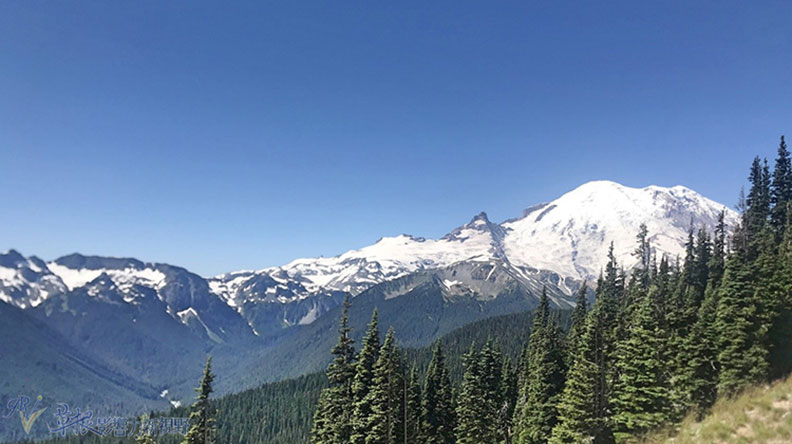 真正的快樂來自爬山的過程!驚喜連連的雷尼爾山國家公園_img_2