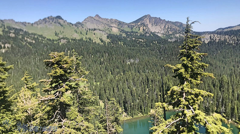 真正的快樂來自爬山的過程!驚喜連連的雷尼爾山國家公園_img_3