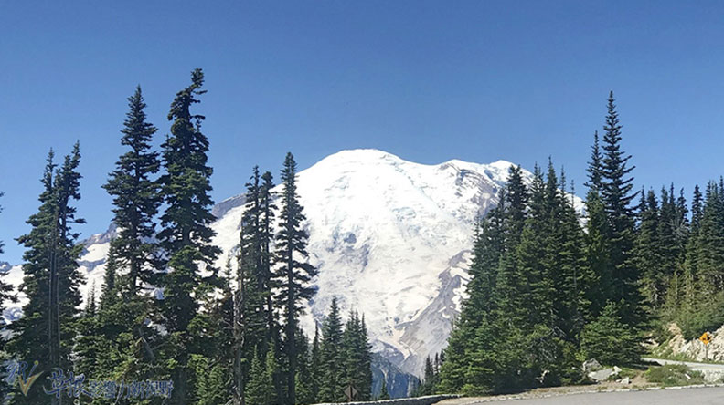 真正的快樂來自爬山的過程!驚喜連連的雷尼爾山國家公園_img_5