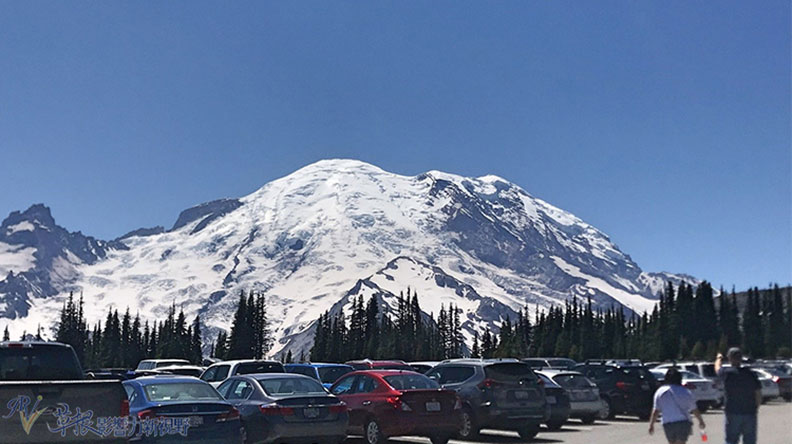 真正的快樂來自爬山的過程!驚喜連連的雷尼爾山國家公園_img_6