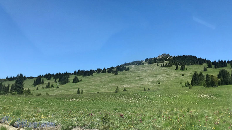 真正的快樂來自爬山的過程!驚喜連連的雷尼爾山國家公園_img_7