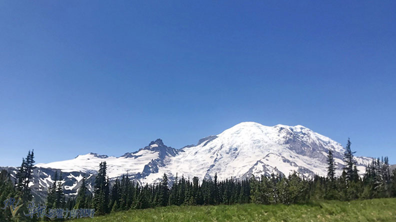 真正的快樂來自爬山的過程!驚喜連連的雷尼爾山國家公園_img_9