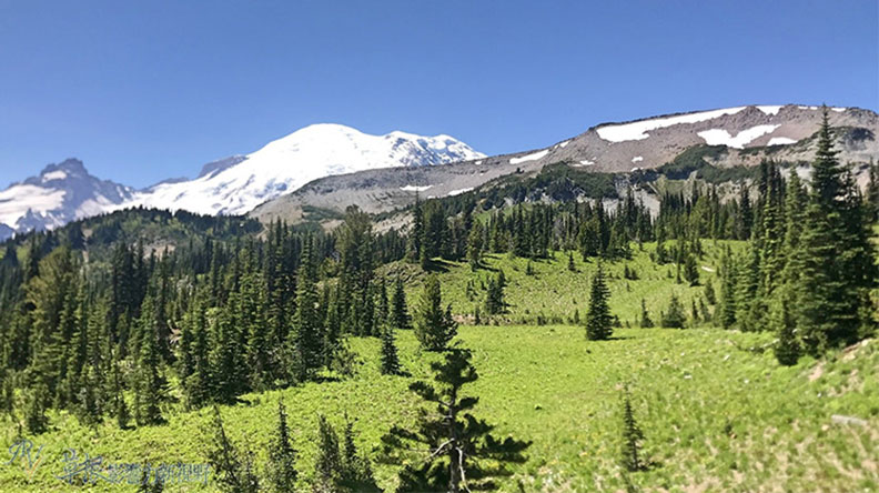 真正的快樂來自爬山的過程!驚喜連連的雷尼爾山國家公園_img_11