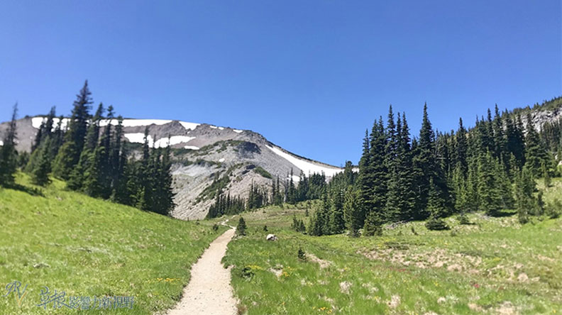 真正的快樂來自爬山的過程!驚喜連連的雷尼爾山國家公園_img_12