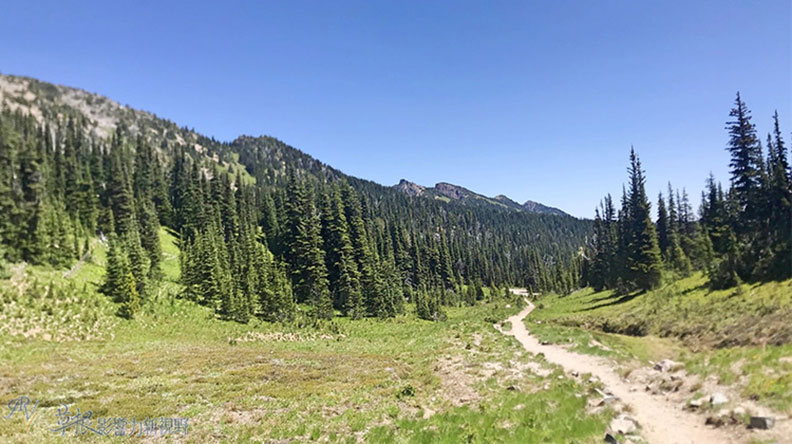 真正的快樂來自爬山的過程!驚喜連連的雷尼爾山國家公園_img_13