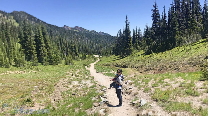 真正的快樂來自爬山的過程!驚喜連連的雷尼爾山國家公園_img_15