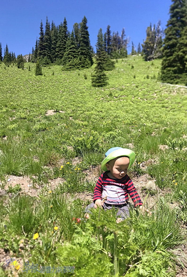 真正的快樂來自爬山的過程!驚喜連連的雷尼爾山國家公園_img_16