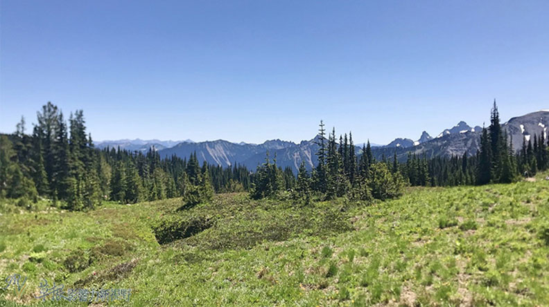 真正的快樂來自爬山的過程!驚喜連連的雷尼爾山國家公園_img_17