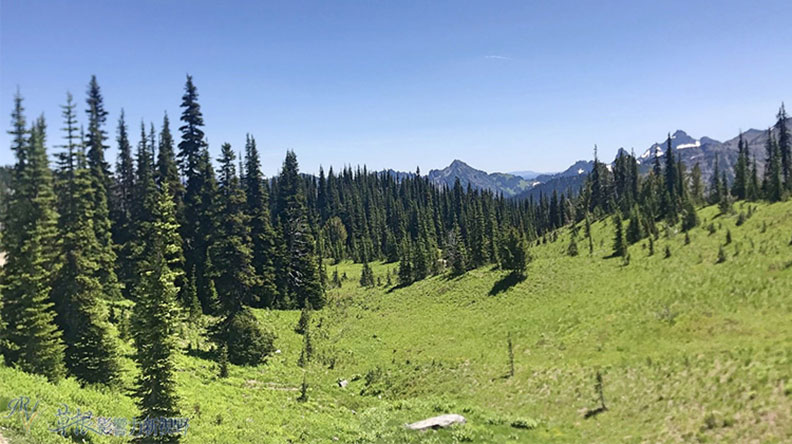 真正的快樂來自爬山的過程!驚喜連連的雷尼爾山國家公園_img_19