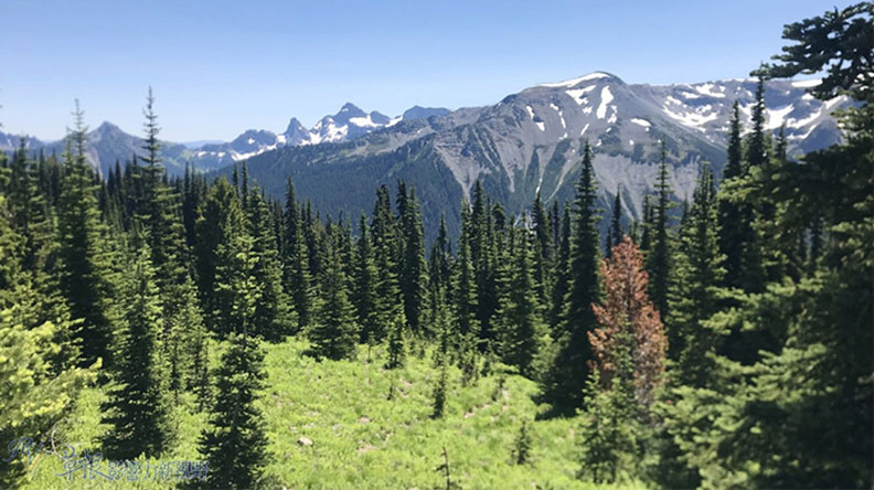 真正的快樂來自爬山的過程!驚喜連連的雷尼爾山國家公園_img_21