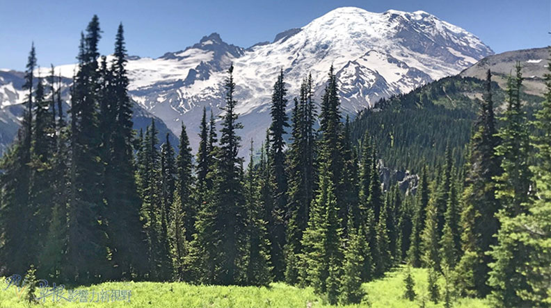 真正的快樂來自爬山的過程!驚喜連連的雷尼爾山國家公園_img_22