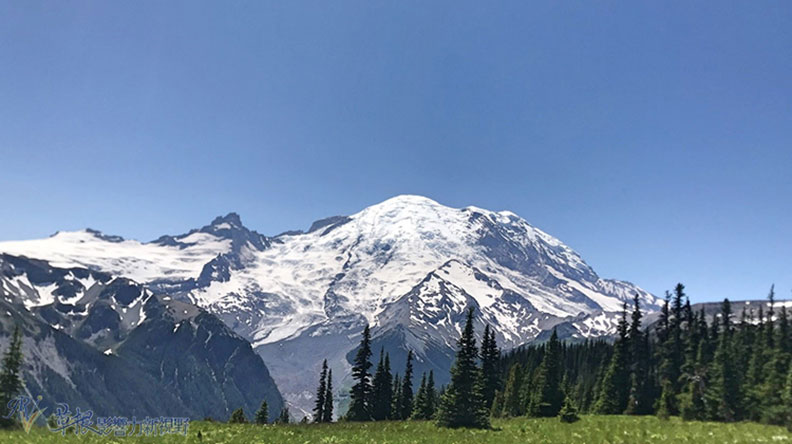 真正的快樂來自爬山的過程!驚喜連連的雷尼爾山國家公園_img_23
