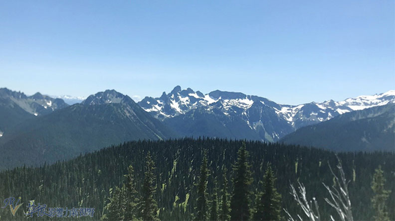 真正的快樂來自爬山的過程!驚喜連連的雷尼爾山國家公園_img_24