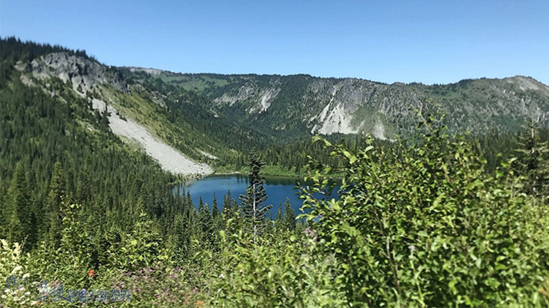 真正的快樂來自爬山的過程!驚喜連連的雷尼爾山國家公園_img_27