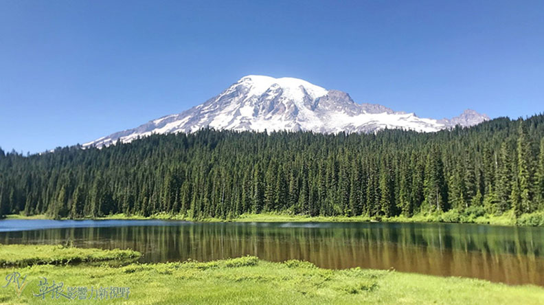 真正的快樂來自爬山的過程!驚喜連連的雷尼爾山國家公園_img_28