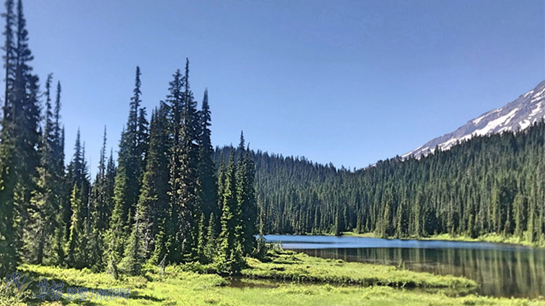 真正的快樂來自爬山的過程!驚喜連連的雷尼爾山國家公園_img_29