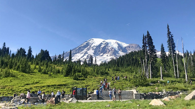 真正的快樂來自爬山的過程!驚喜連連的雷尼爾山國家公園_img_30