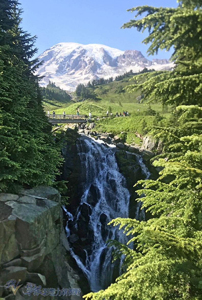 真正的快樂來自爬山的過程!驚喜連連的雷尼爾山國家公園_img_31