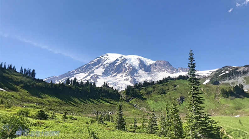 真正的快樂來自爬山的過程!驚喜連連的雷尼爾山國家公園_img_32