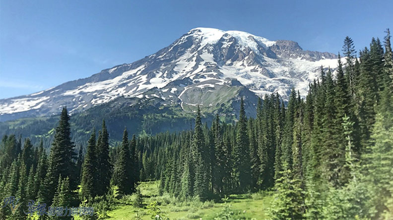 真正的快樂來自爬山的過程!驚喜連連的雷尼爾山國家公園_img_33