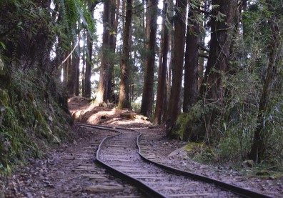 遊山海圳綠道 走進台灣400年