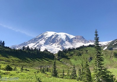 真正的快樂來自爬山的過程！驚喜連連的雷尼爾山國家公園